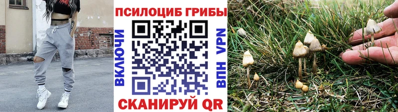 Галлюциногенные грибы Psilocybine cubensis  omg как зайти  Фатеж 